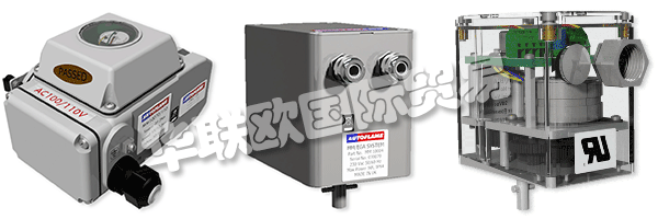 因此被視為AUTOFLAME公司和質(zhì)量管理體系的主要目標(biāo)。