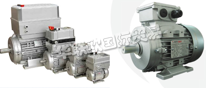 意大利BERMAR公司的主要產(chǎn)品包括：意大利BERMAR電機(jī)、BERMAR電動機(jī)、異步電機(jī)、異步電動機(jī)、永磁發(fā)動機(jī)、逆變器、伺服通風(fēng)電動機(jī)、伺服電動機(jī)、工業(yè)洗衣機(jī)電動機(jī)、單相電動機(jī)、DRIVEJET鼓風(fēng)機(jī)、高效電機(jī)、泵、風(fēng)扇、工業(yè)壓縮機(jī)。